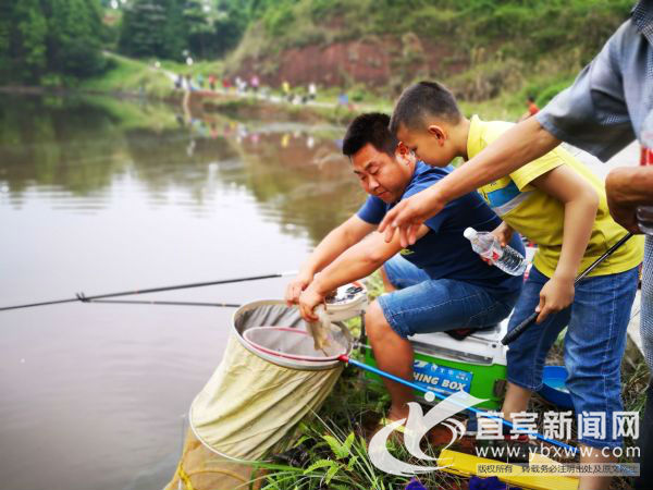 生态鱼选手基本下竿就有。（宜宾新闻网 曾江 摄）