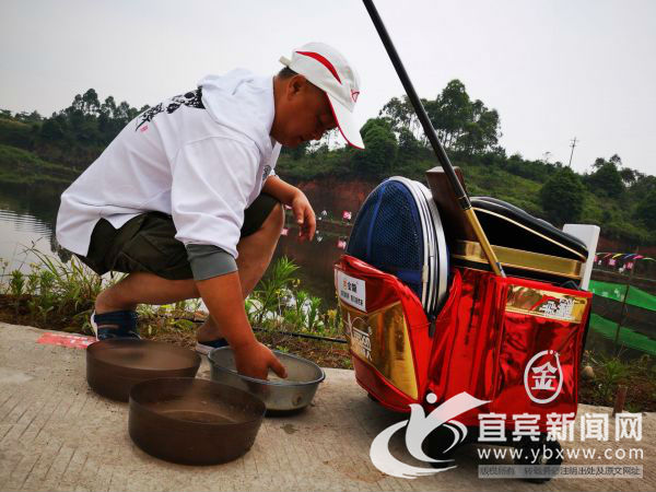 钓鱼比赛饵料准备很重要。（宜宾新闻网  曾江 摄）